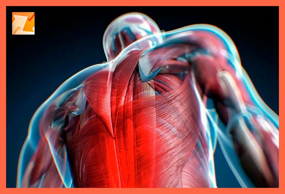 Características del malestar